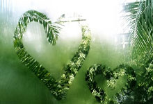 真我realme正式推出巅峰机王——真我GT Neo6 SE：4月17日，全渠开售！